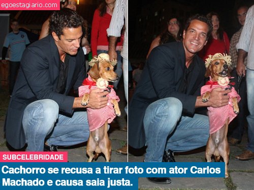 Cachorro se recusa a tirar foto com ator Carlos Machado e causa saia justa
