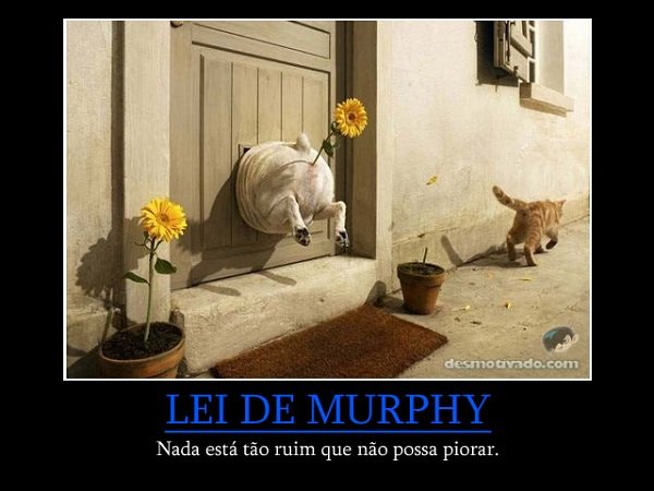 lei de murphy lady murphy