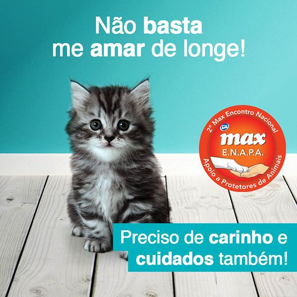 Max em Acao (1)