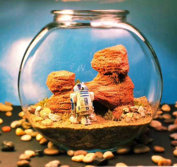 Esculturas dentro de um aquário (8)