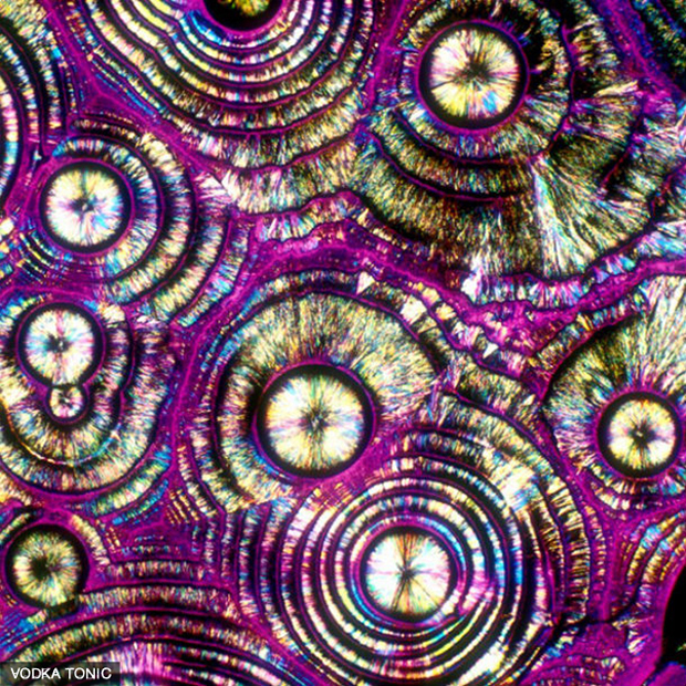 Drinks vistos por um microscópio (16)