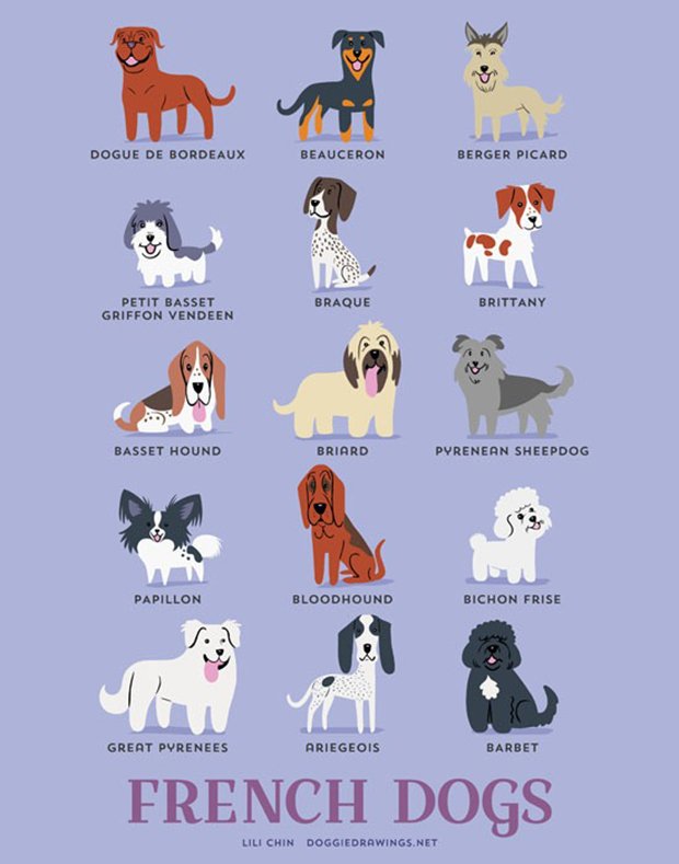 Cachorros do mundo (10)