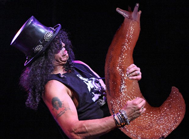 Slash performs at the House of Blues on September 15, 2010 in Boston, Massachusetts.