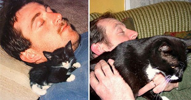 Gatos antes e depois (13)