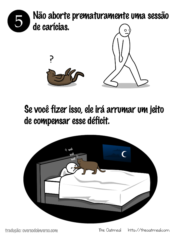 Como brincar com um gato (4)