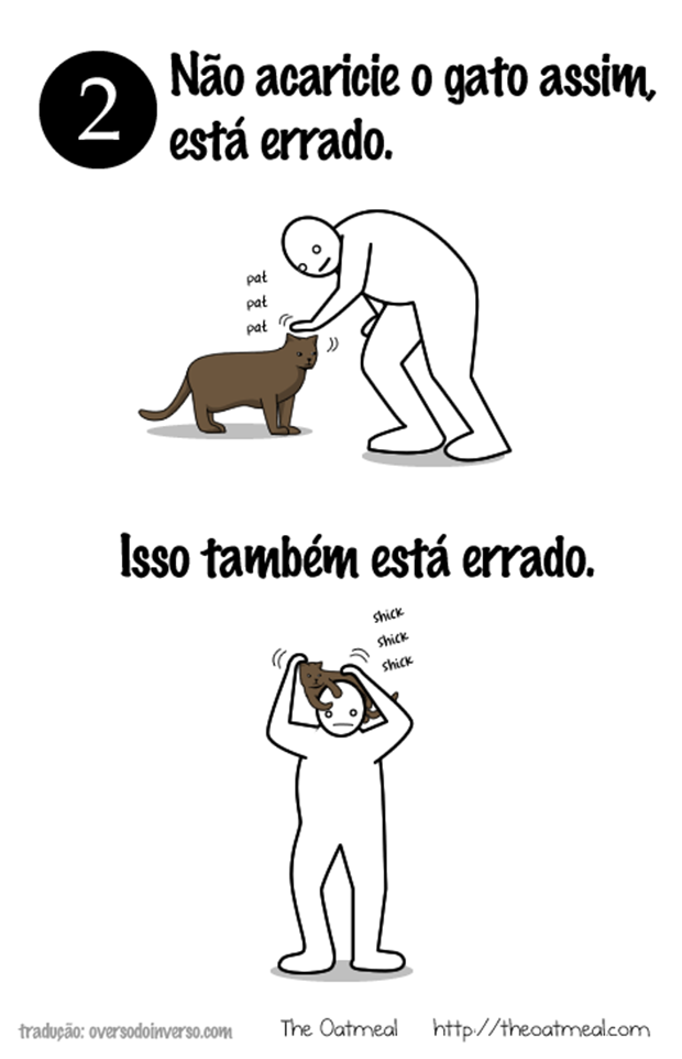 Como brincar com um gato (6)