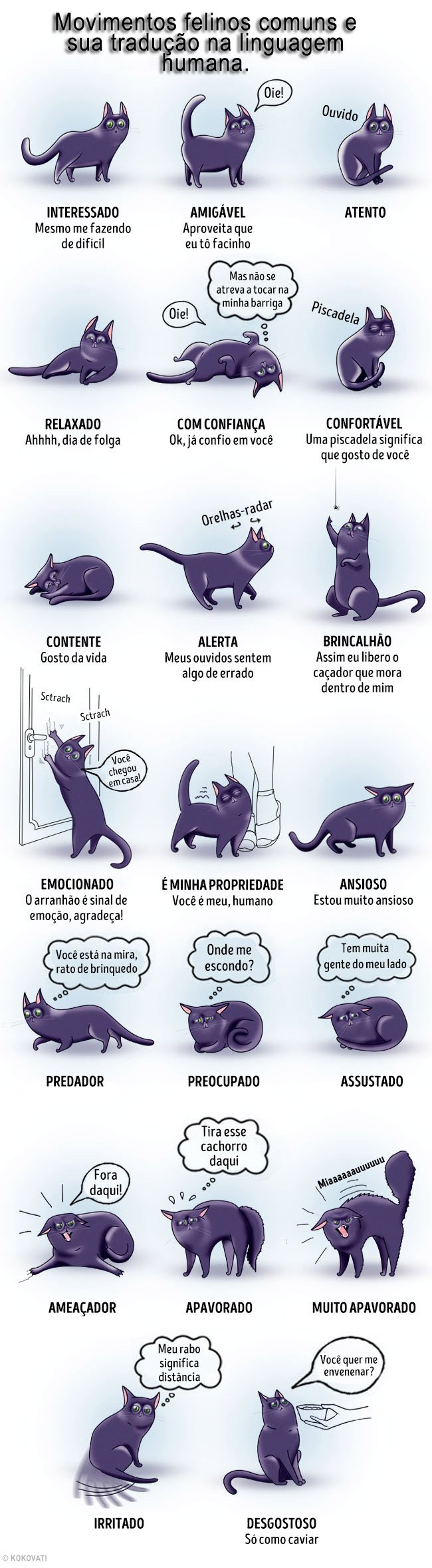 Movimentos felinos e suas traducoes na linguagem humana