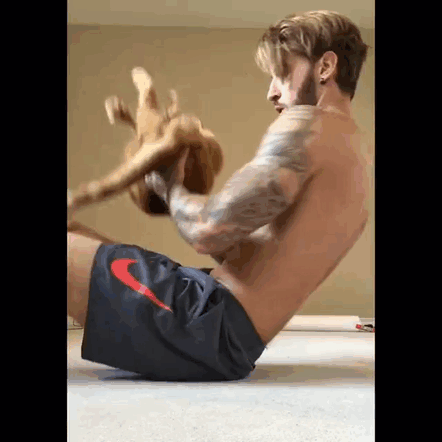 Como obter um corpo perfeito usando o seu gato para fazer exercicios (2)