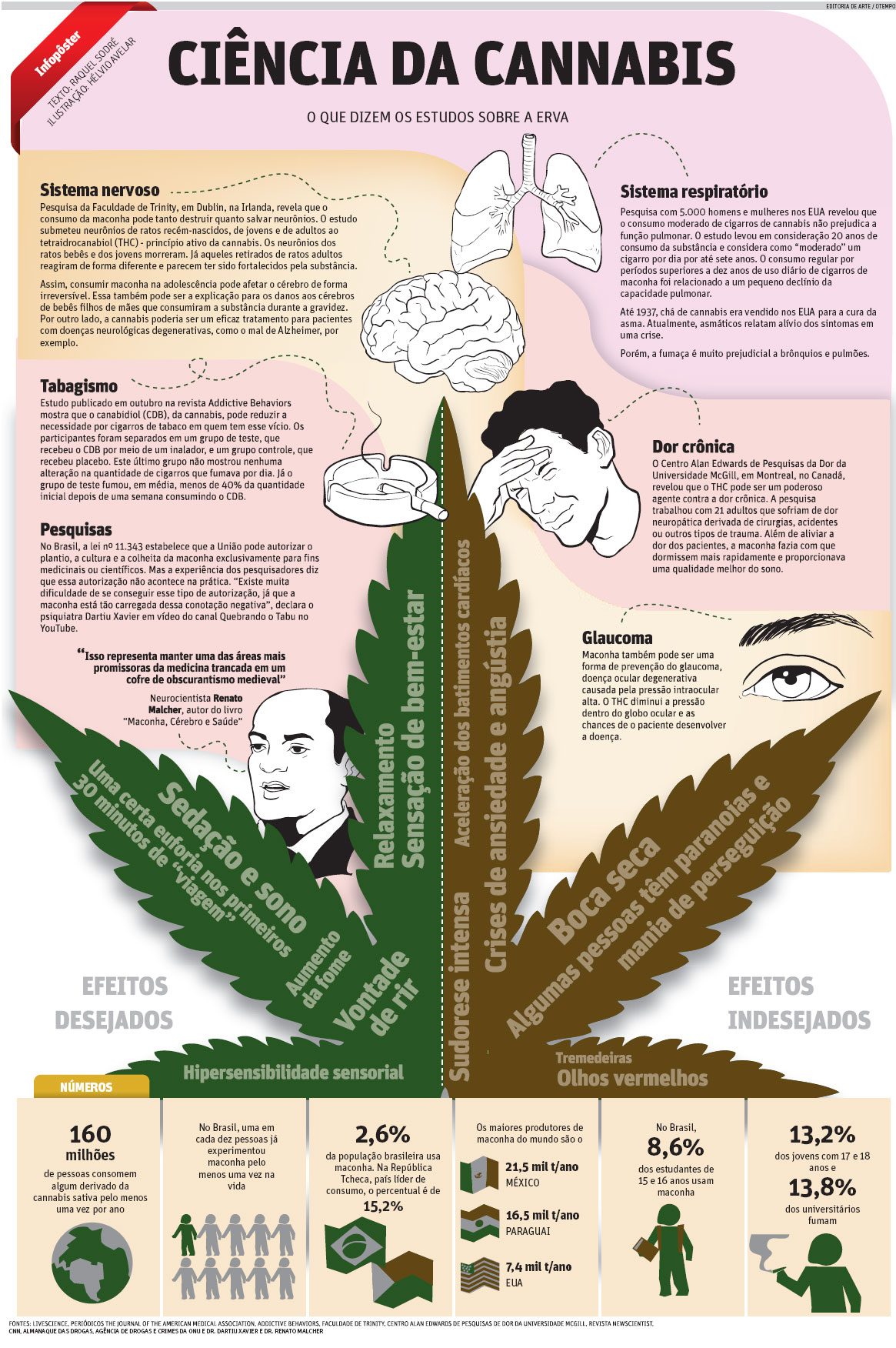 Ciência da Cannabis - O que dizem os estudos sobre a erva