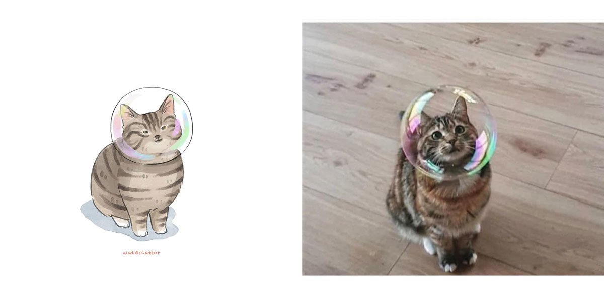 Memes de gatos: artista ilustra situações felinas inusitadas e divertidas
