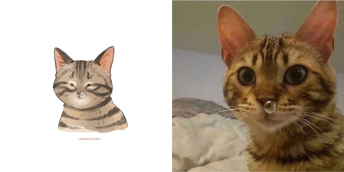 Memes de gatos: artista ilustra situações felinas inusitadas e divertidas