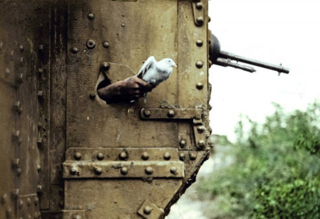Fotos coloridas da Primeira Guerra Mundial 41