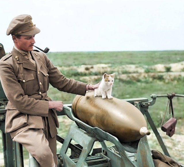 Fotos coloridas da Primeira Guerra Mundial 8