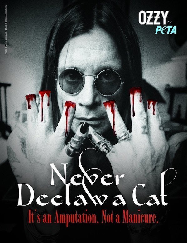 Ozzy Osbourne condena crueldade contra gatos em anúncio