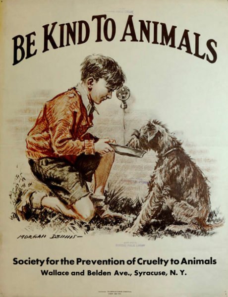 Pôsteres de animais da década de 1930 promovem e reforçam o amor pelos bichinhos