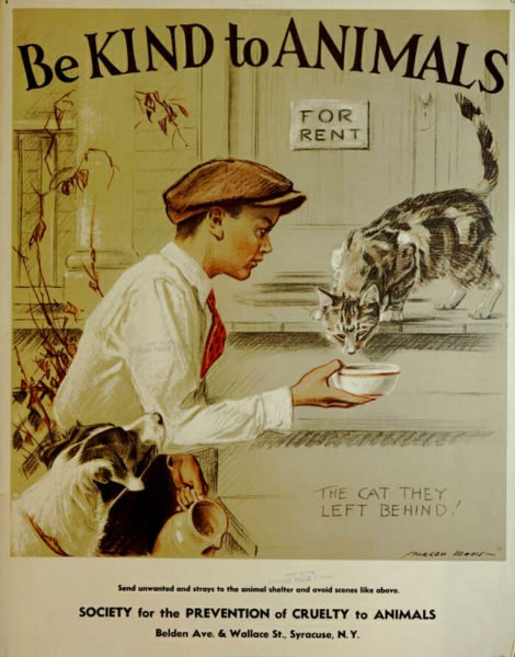 Pôsteres de animais da década de 1930 promovem e reforçam o amor pelos bichinhos