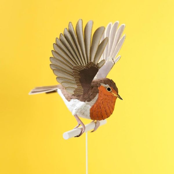 Diana Beltrán Herrera: artista colombiana usa papel para recriar espécies de aves em todo o mundo