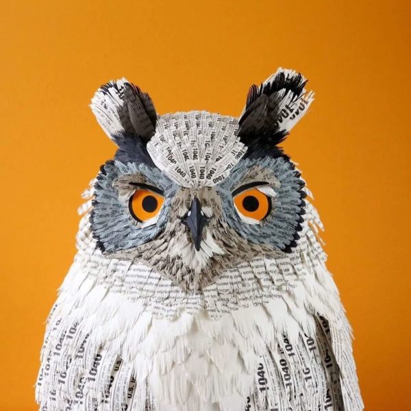 Diana Beltrán Herrera: artista colombiana usa papel para recriar espécies de aves em todo o mundo