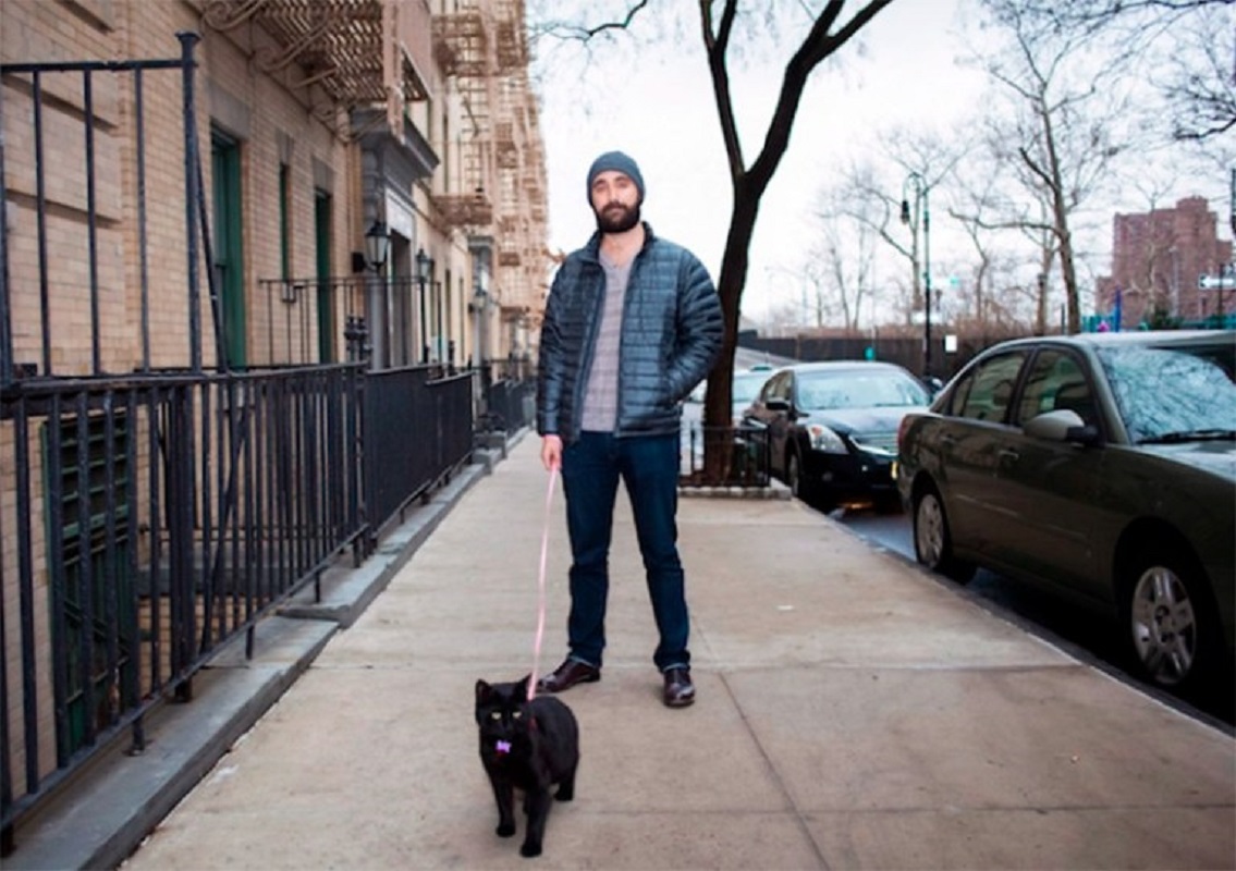 Men Cats fotografo cria projeto para quebrar estereotipo Louca dos gatos 3