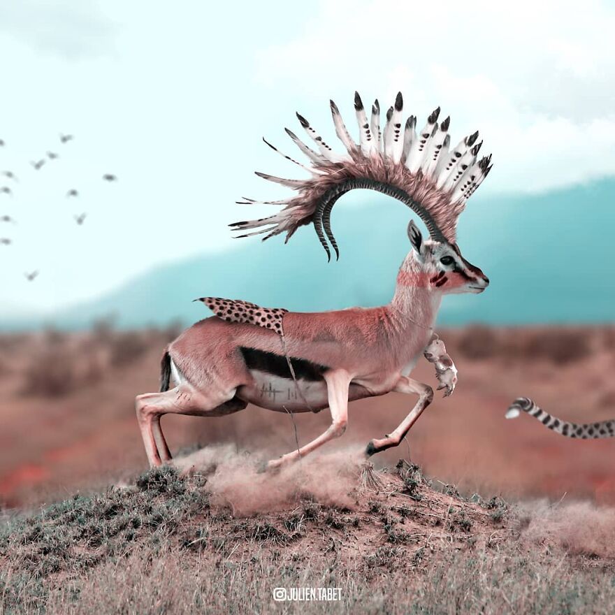 Julien Tabet artista mostra o que os animais fazem quando nao estamos olhando 26