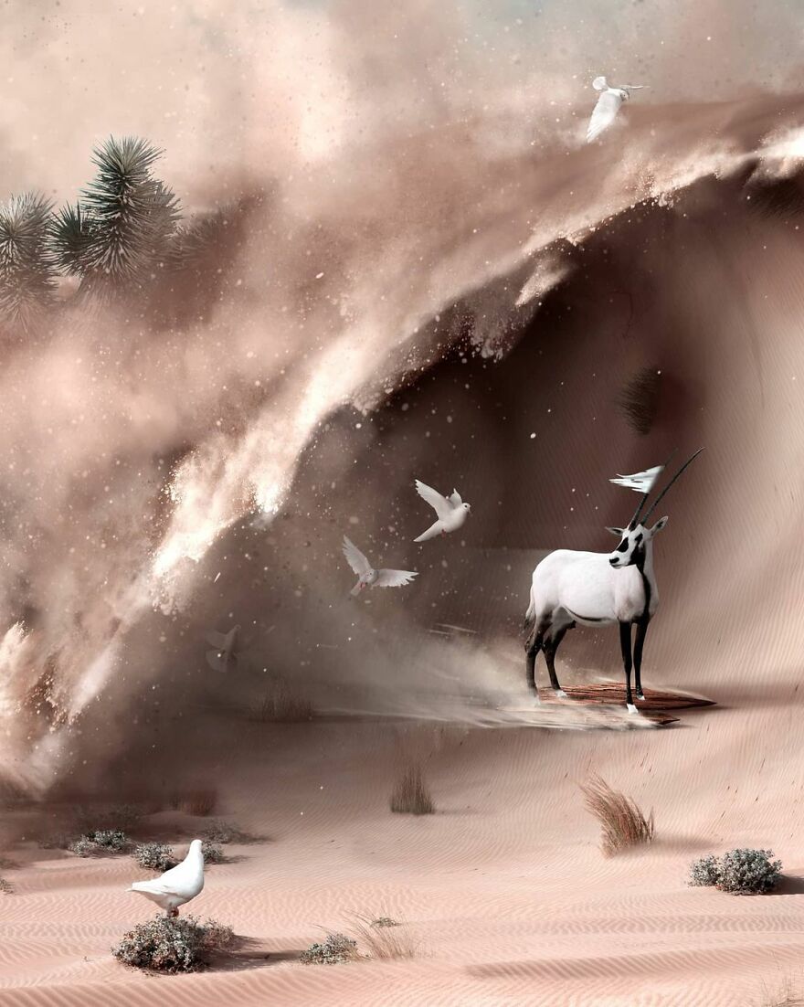 Julien Tabet artista mostra o que os animais fazem quando nao estamos olhando 27