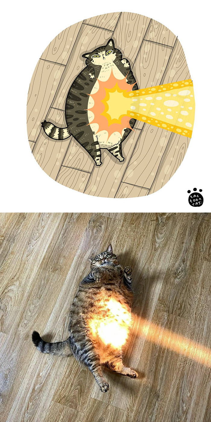 Tactoonca artista indonesio redesenha memes de gatinhos 10