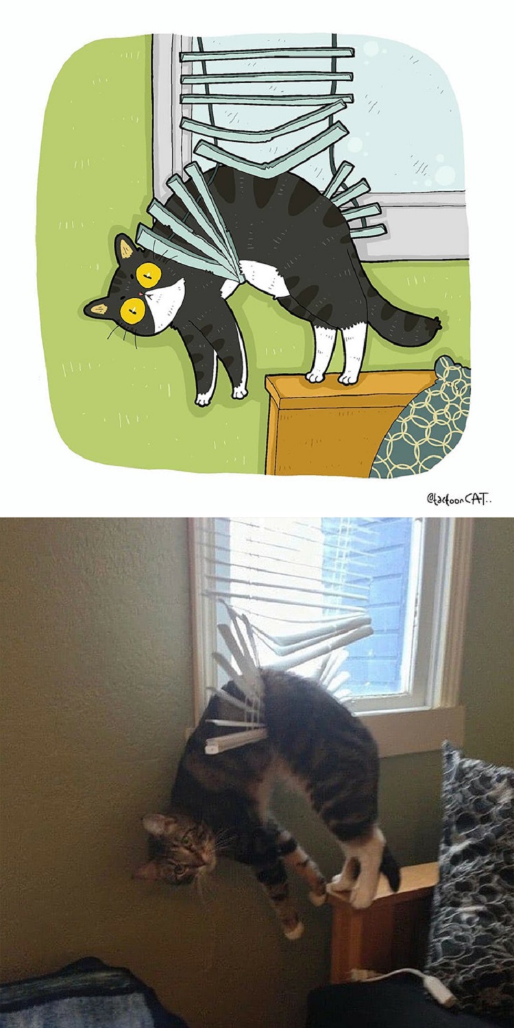 Tactoonca artista indonesio redesenha memes de gatinhos 12