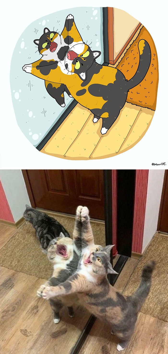 Tactoonca artista indonesio redesenha memes de gatinhos 2