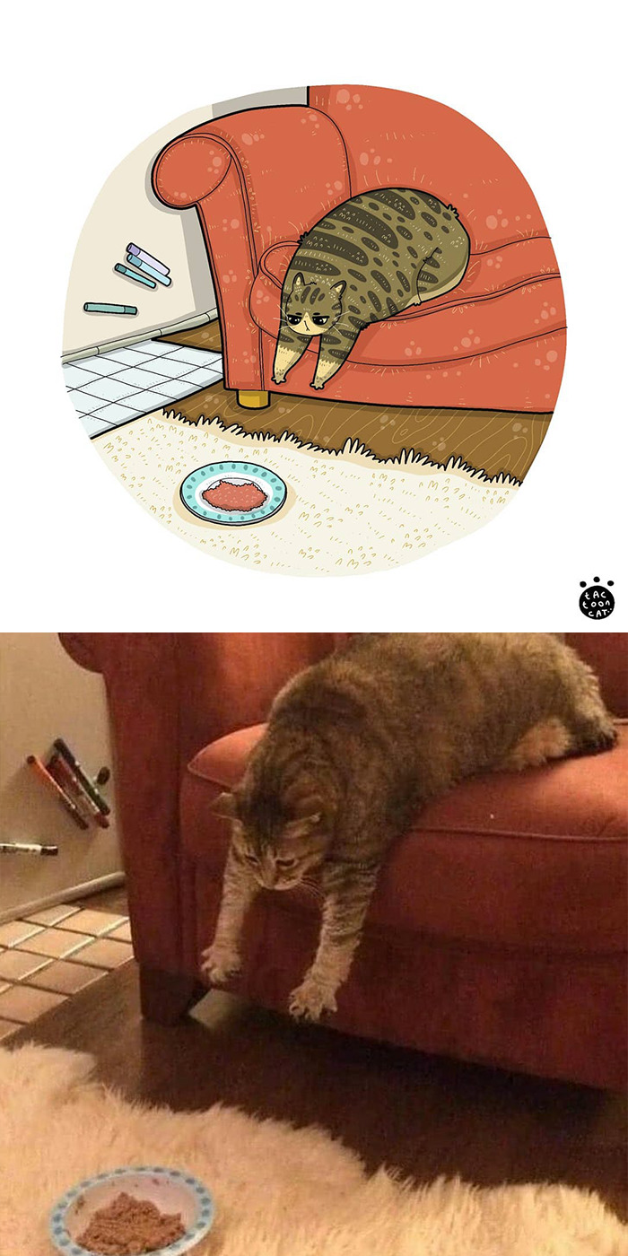 Tactoonca artista indonesio redesenha memes de gatinhos 7