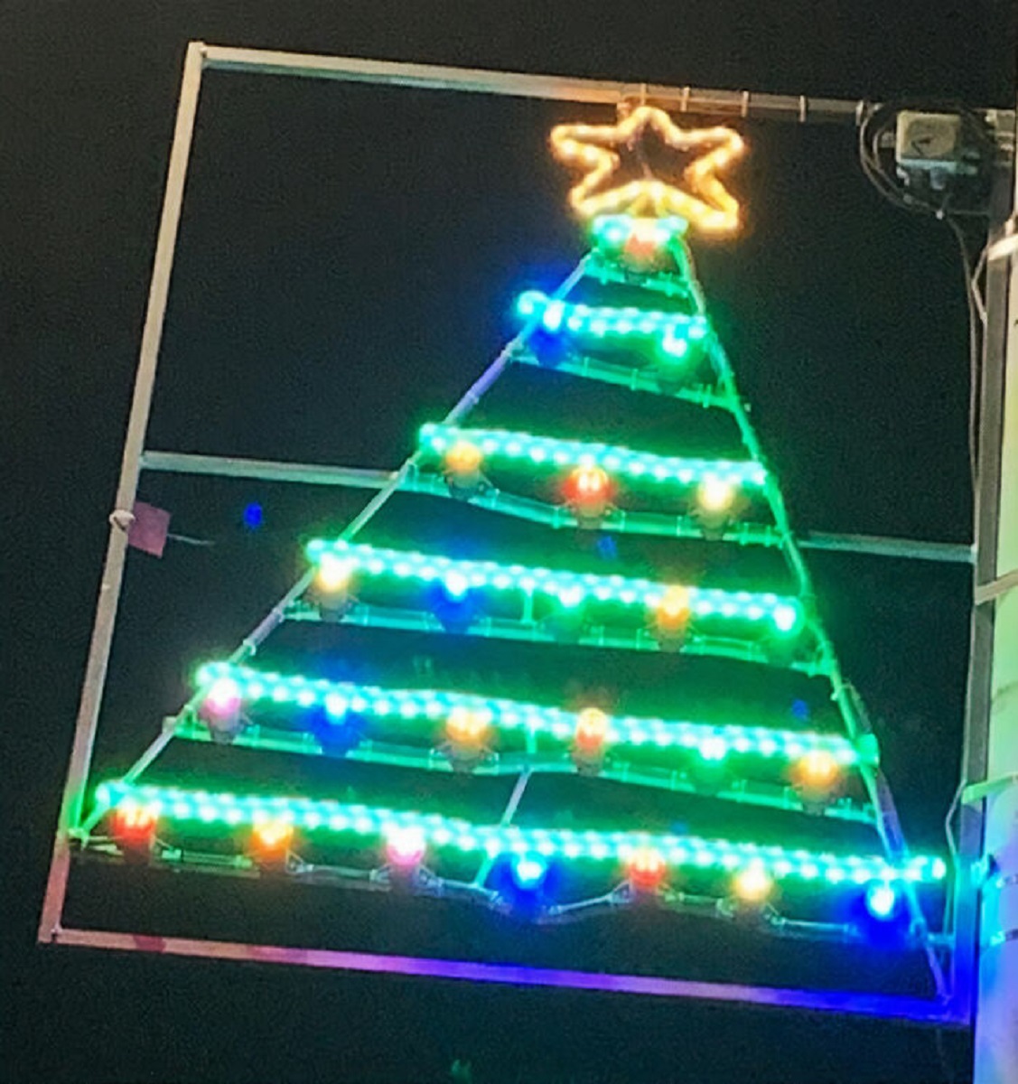 Na Escocia as criancas projetam suas luzes de Natal e resultado e adoravel 18