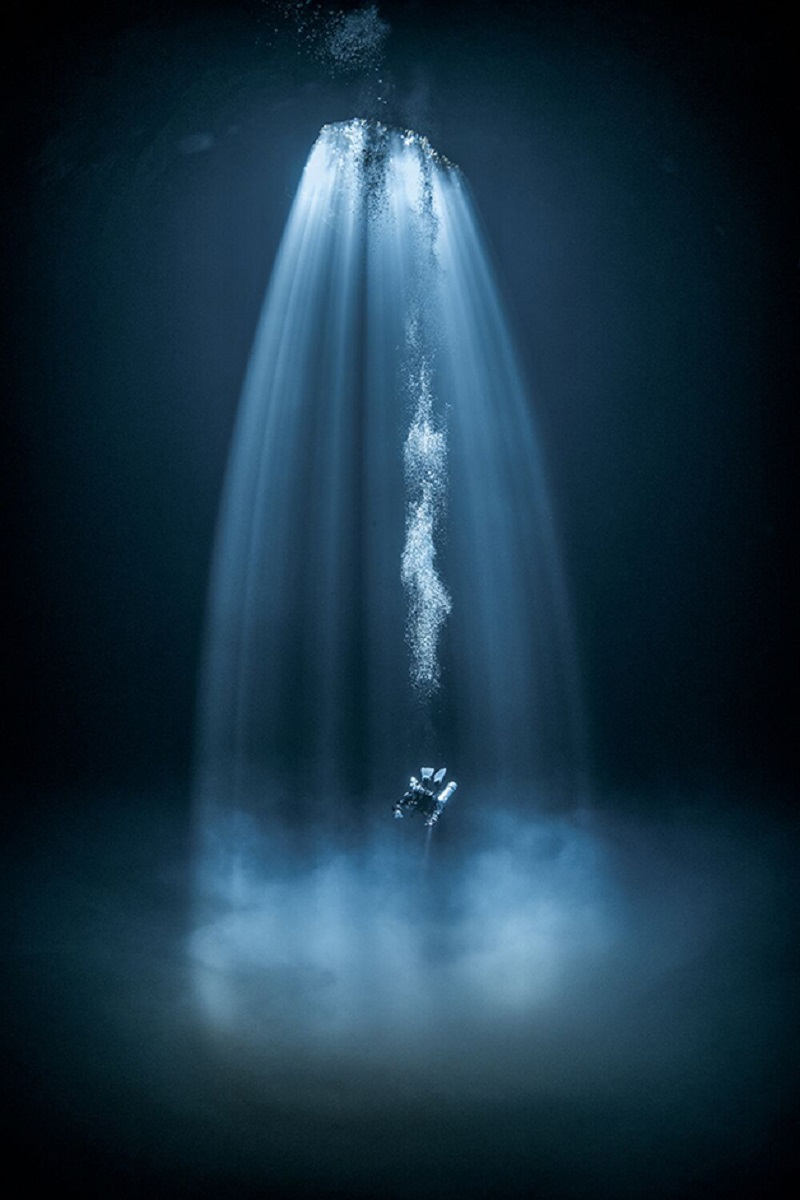 Through Your Lens Underwater Photo Contest confira as melhores fotos submersas de 2020 12