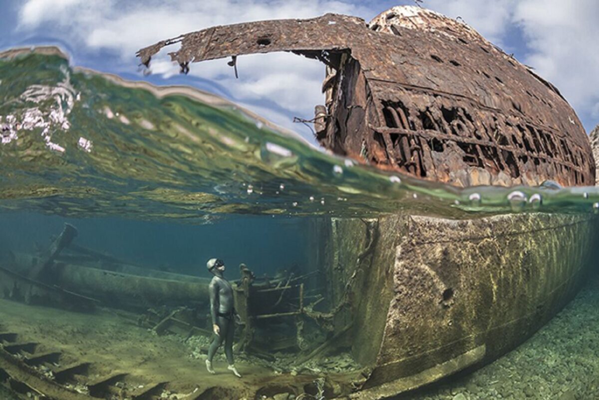Through Your Lens Underwater Photo Contest confira as melhores fotos submersas de 2020 13