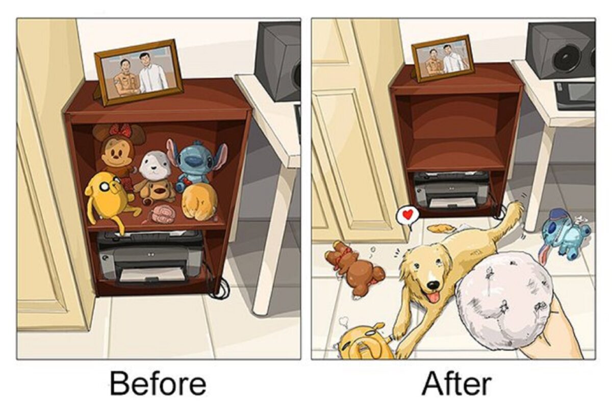artista cria serie de ilustracoes mostra o antes e depois da vida com um pet 8