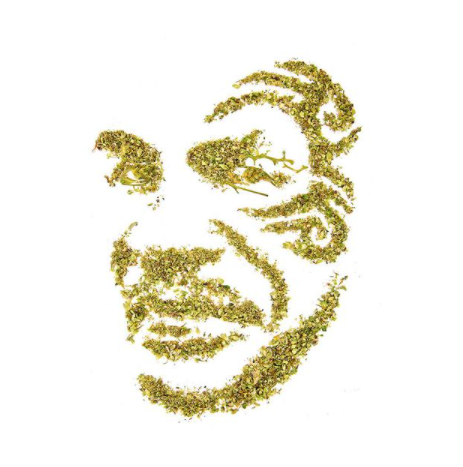 Cannabiscapes artistas fazem retratos com maconha 1