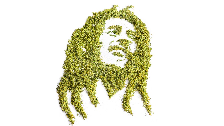 Cannabiscapes artistas fazem retratos com maconha 10