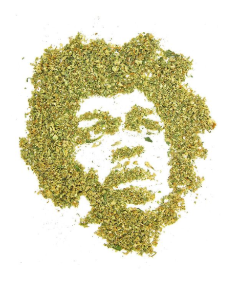 Cannabiscapes artistas fazem retratos com maconha 2