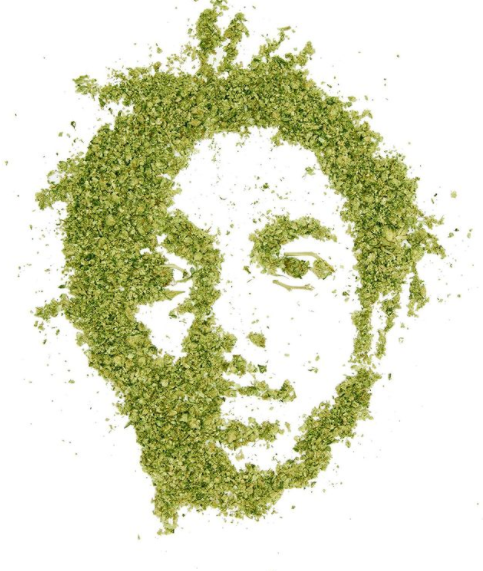 Cannabiscapes artistas fazem retratos com maconha 4