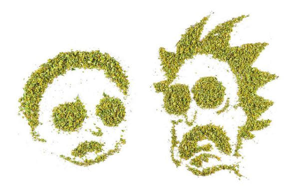 Cannabiscapes artistas fazem retratos com maconha 5