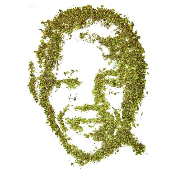 Cannabiscapes artistas fazem retratos com maconha 6