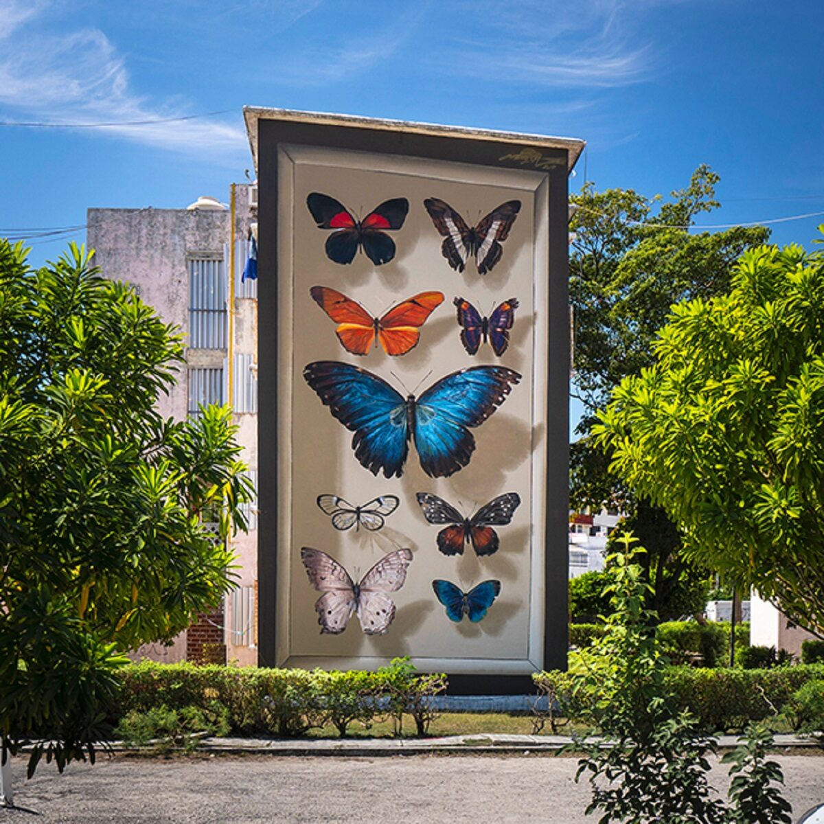 Mantra artista desenha borboletas em paredes de diversas cidades pelo mundo 10