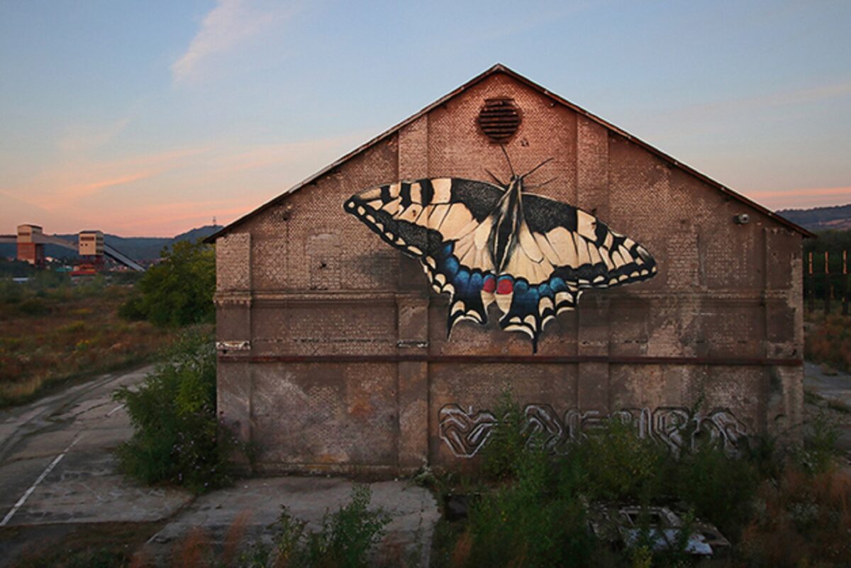 Mantra artista desenha borboletas em paredes de diversas cidades pelo mundo 3