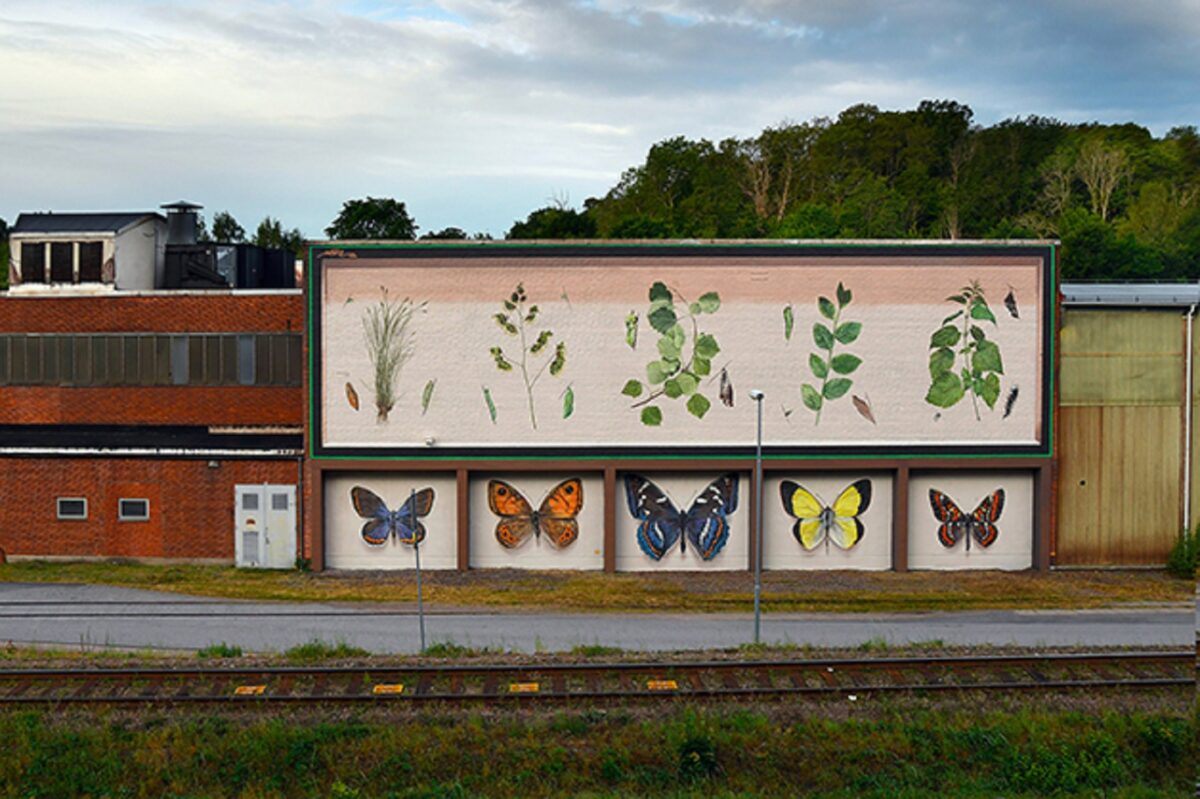 Mantra artista desenha borboletas em paredes de diversas cidades pelo mundo 4