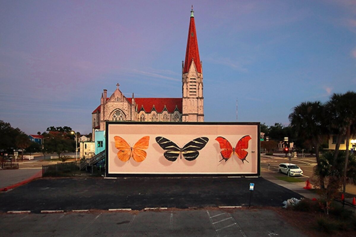 Mantra artista desenha borboletas em paredes de diversas cidades pelo mundo 6