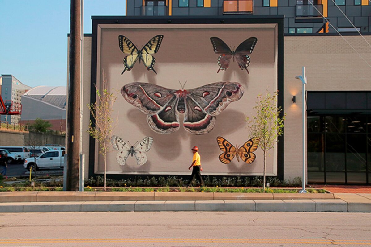 Mantra artista desenha borboletas em paredes de diversas cidades pelo mundo 7